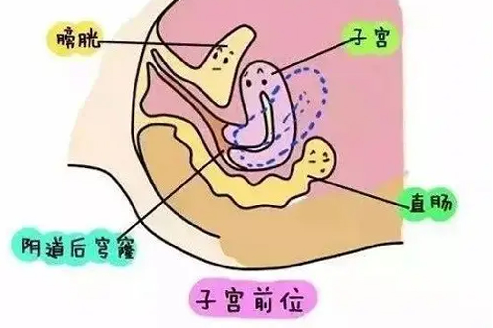 卵泡發(fā)育不成熟，泰國試管嬰兒促排卵能解決嗎？