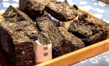 涇陽茯茶有什么功效？涇陽茯茶的功效與作用