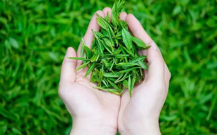 茶葉怎么選才是好茶葉？好茶葉的辨別方法