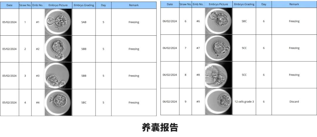 養(yǎng)囊報告