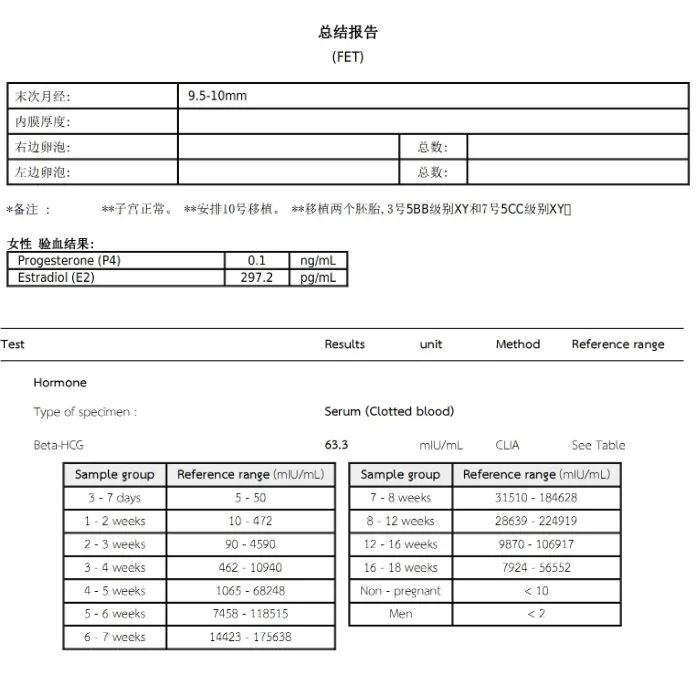 總結(jié)報告